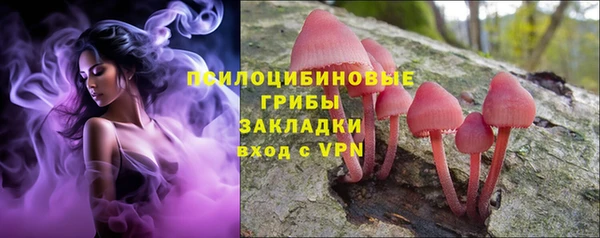 бошки Верхнеуральск