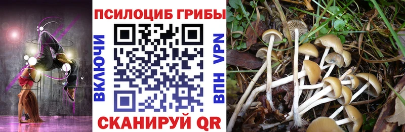 купить закладку  Славянск-на-Кубани  MEGA   Псилоцибиновые грибы мицелий 